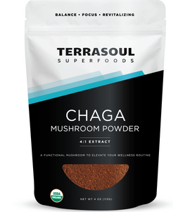 Organic Chaga Mushroom Extract Powder