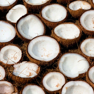 Coconut Oil (Refined)
